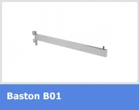 Bastonlar
