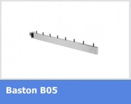 Bastonlar